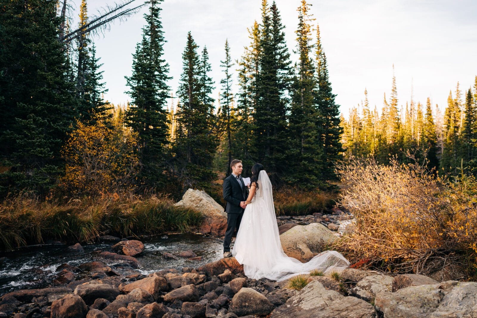 A bride and groom stand on rocks beside a stream in a forest, surrounded by evergreen trees and autumn foliage. The bride wears a long white gown with a veil, and the groom is in a dark suit.