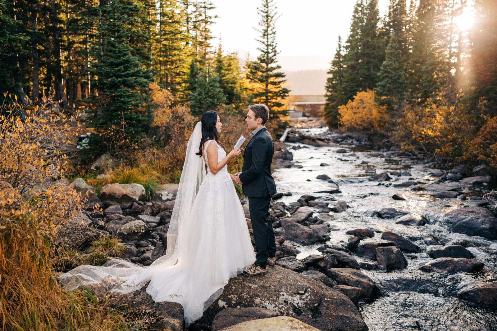 A bride and groom stand on rocks by a flowing creek in a forest, facing each other and holding hands. The bride wears a long white gown and veil; the groom is in a dark suit. Sunlight filters through tall trees in the background.