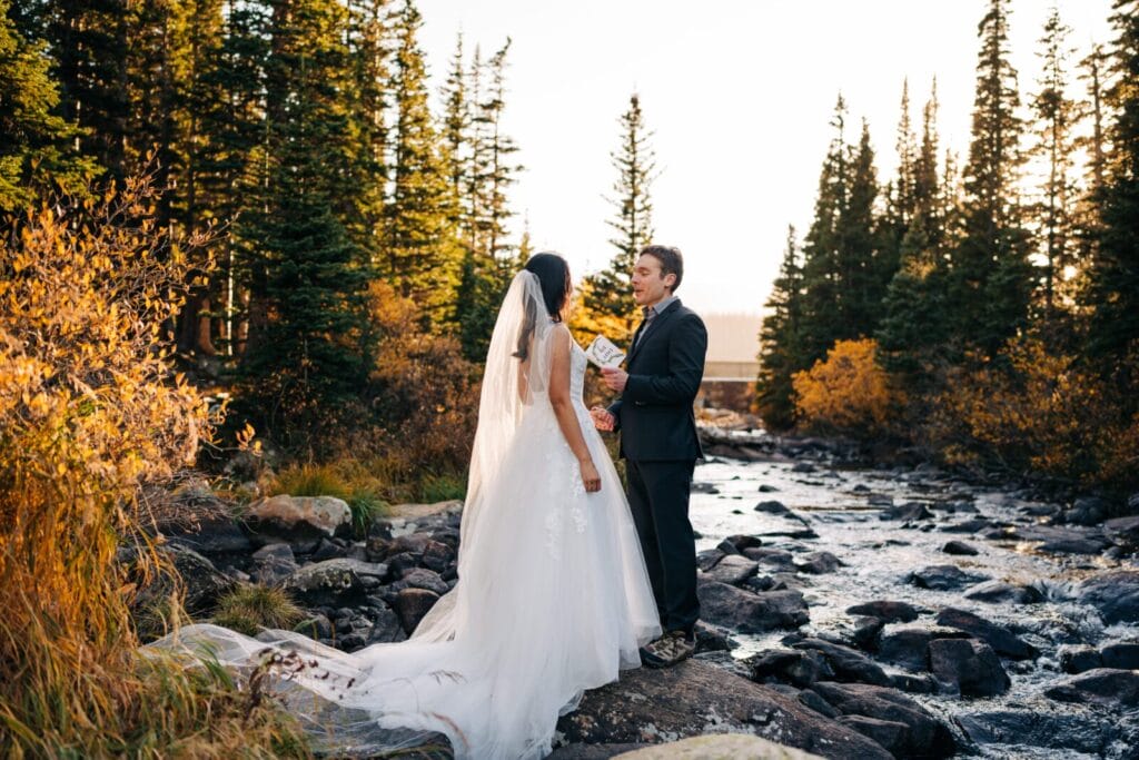 A bride and groom stand on rocks by a flowing creek, surrounded by tall pine trees and golden autumn foliage, holding hands and facing each other in the sunlight.