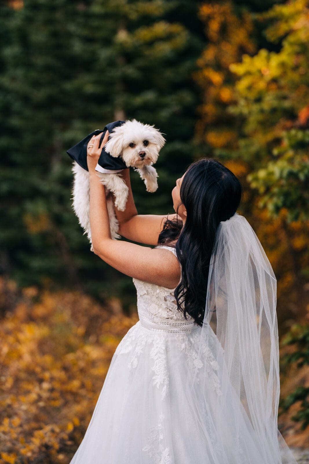 A bride in a white wedding dress and veil holds up a small white dog dressed in black, surrounded by autumn trees with yellow and green foliage.
