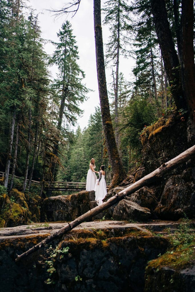 Two people in white dresses stand on mossy rocks in a forest surrounded by tall evergreen trees. A fallen tree leans diagonally in the foreground, and the scene feels serene and natural.