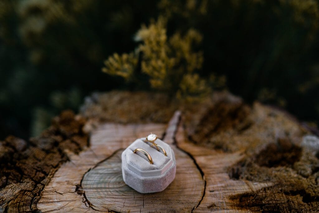 Two gold rings, one with a diamond, rest in a white velvet ring box placed on a tree stump, with blurred greenery in the background.
