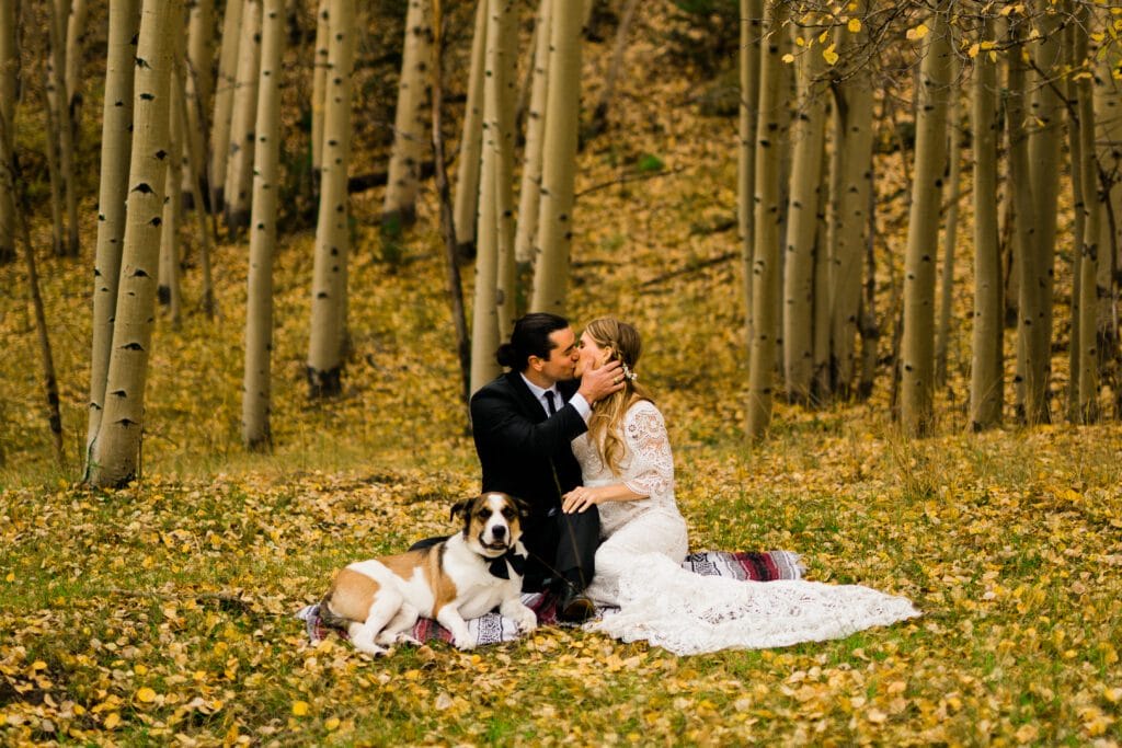 A bride and groom sit on a blanket in a forest of aspen trees, sharing a kiss. A dog lies beside them on the blanket. Fallen leaves cover the ground, creating an autumn atmosphere.