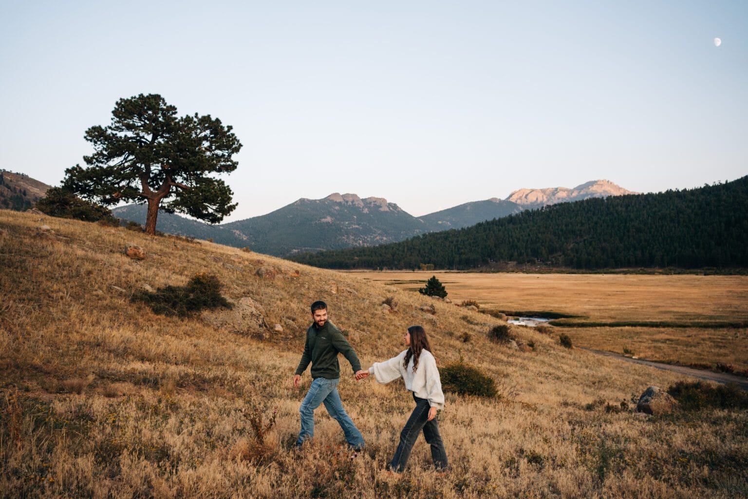 A couple holding hands walks through a grassy field with mountains and a tree in the background under a clear sky.