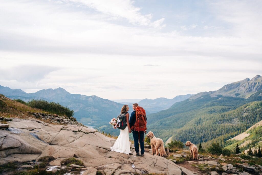 A couple in wedding attire stands on rocky terrain overlooking a scenic mountain landscape, accompanied by two golden retrievers. The sky is partly cloudy and the view is expansive and green.