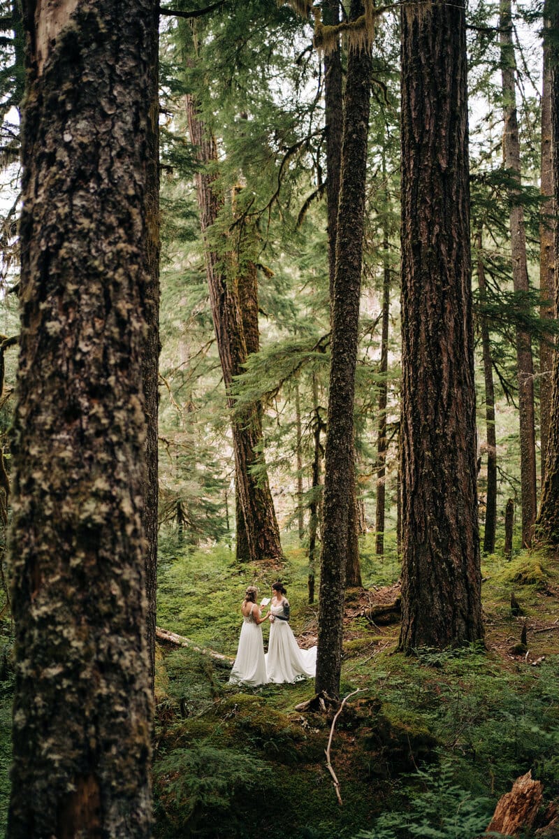 Two women in white dresses stand holding hands in a lush green forest, surrounded by tall trees and dense foliage, creating a serene and intimate atmosphere.