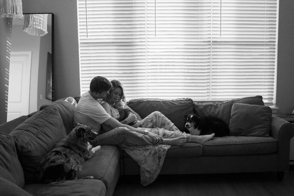 A couple sits on a couch with their baby, surrounded by two dogs, in a cozy living room filled with soft light—an ideal setting for a newborn photographer to capture this calm and content family moment.