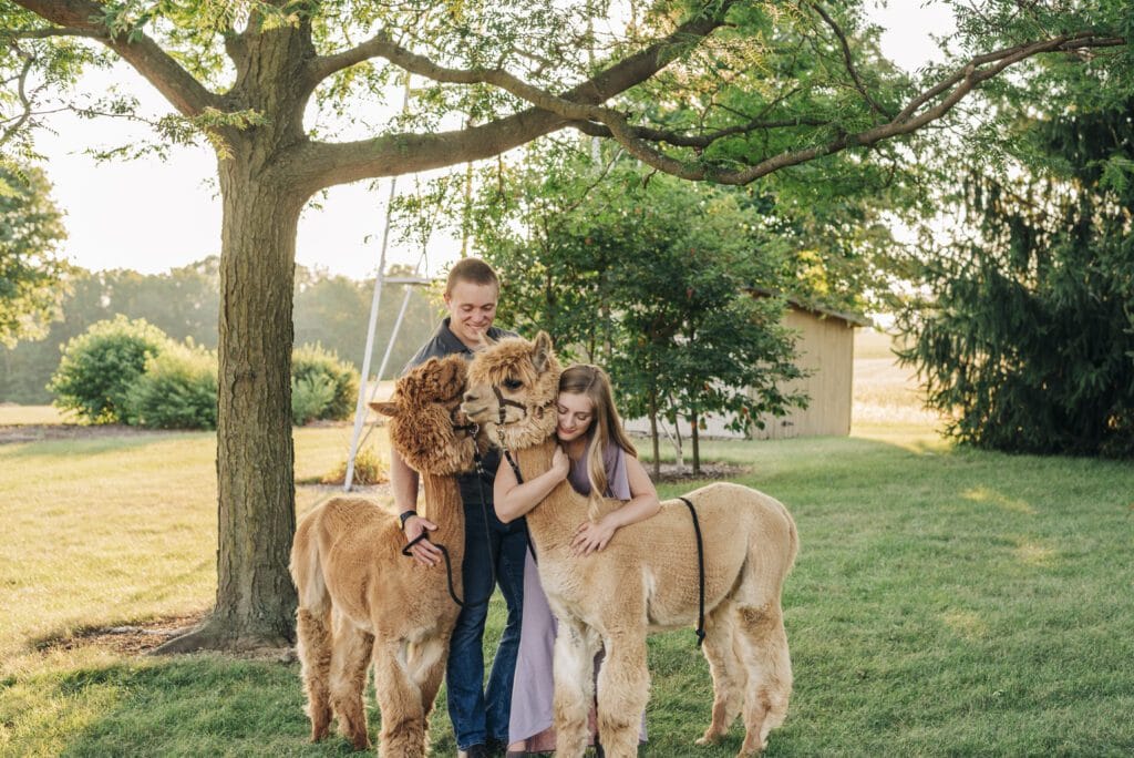 A boy and a girl stand outdoors under a tree, smiling and hugging two alpacas on leashes. The scene is set in a grassy area with trees, bushes, and a shed in the background on a sunny day.